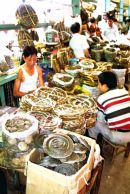 Chinese, Quingping Medical Market, Guangzhou